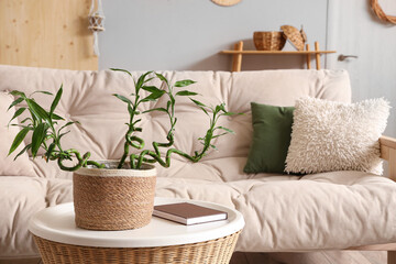 Wall Mural - Bamboo stems on coffee table and white sofa in light living room