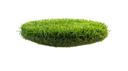 green grass clump isolated