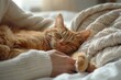 Owner sits in bed cuddling red tabby cat