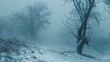 Mysterious Foggy Woodland. Eerie Winter Background
