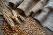Organic Wheat Grains and Ears on Sackcloth Background for Agriculture and Food Production Concept