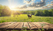 Rural Charm Cow Grazing on Farm, Wooden Table Display
