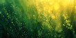 Vivid Blurred Grass Backdrop Nature's Sunny Delight