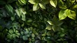 Tropical Greenery Lush Foliage Dense Leaves Exotic Botanical Dark Background Nature Detail