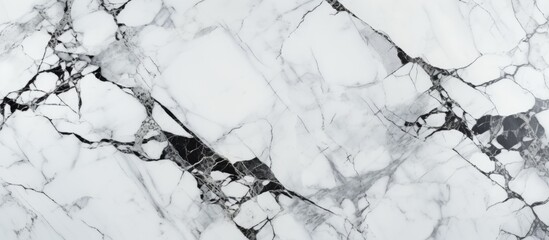 Poster - Detailed view of a smooth and polished marble surface featuring an elegant black and white intricate pattern