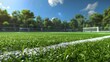 textured Soccer 3D field from above - PNG Free background