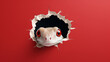 Überraschender Besucher: Ein süßer Gecko späht durch ein Loch in einer leuchtend roten Wand.