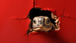 Langsame Neugier: Eine Schildkröte schaut durch ein Loch in einer roten Wand.