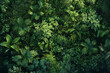 Aerial view of a dense green tropical forest canopy, highlighting the concept of nature conservation and Earth Day. photorealistic 