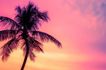 Wall Mural - A vibrant pink and orange sunset sky with a palm tree silhouette creates an exotic tropical background for travel and vacation advertising Generative AI