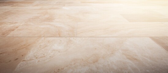 Poster - The floor showcases a spacious area covered with tiles featuring an intricate white and brown pattern, creating an elegant and stylish ambiance