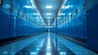 Gleaming blue lockers line a school's hallway