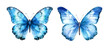 Butterfly, watercolor clipart illustration with isolated background.