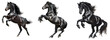 © png-jpeg-vector - black horse rearing up on its hind legs isolated  on transparent background.