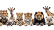 Diverse Collection of Iconic Zoo Animals Over White Banner or Social Media Cover