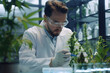 scientist researching marijuana in lab