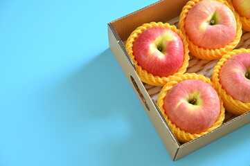 Wall Mural - beautiful pink apple in the box on blue background