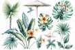 Assorted tropical botanical illustrations featuring a variety of plants, birds, and textures, showcasing biodiversity in a vibrant, artistic representation