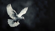 White pigeon Close-up of seagull flying against clear sky White Dove flying away, Beautiful White Dove Flapping Its Wings Isolated on Black Background Generative AI