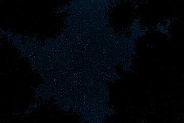Wall Mural - Night blue sky with stars wild nature as texture