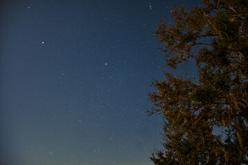 Stars in the Night Sky