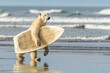 A polar bear carries a surfboard on the seashore.