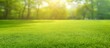 Beautiful summer landscape with freshly cut grass in the morning light and a light fog provides a panoramic spring background. Made with generative AI technology.
