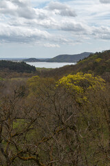 Wall Mural - View from the top of the mountain.