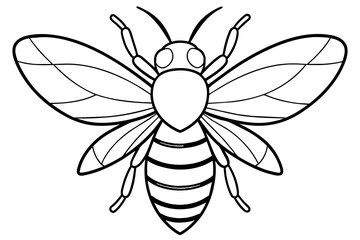 Wall Mural - line art of a bee