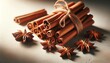 A close-up of cinnamon sticks bundled together with star anise placed around on a light surface.