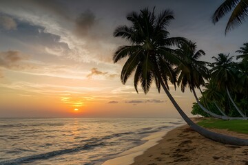 Seaside landscape with sunset and palm trees on the beach photo