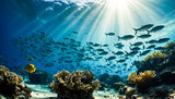 Fototapeta Do akwarium - School of Fish and Coral Reef 