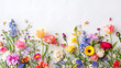 colorful wild flowers and roses, carnations, lilies, orchids, and tulips , mothers'day banner concept