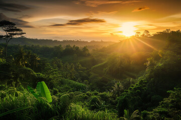 Wall Mural - photo sunrise over bali jungle