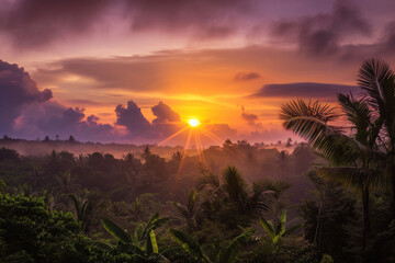 Wall Mural - photo sunrise over bali jungle