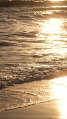 Canvas Print - sunset on the beach