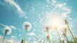 Realistic dandelions composition with sky background sun and flowers  ,Generative ai, 