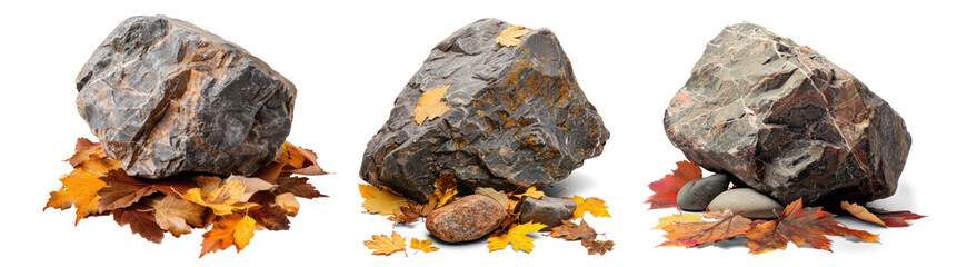 Wall Mural - set of several Rocks Stone on Autumn Leaves