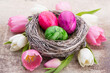 Easter eggs in the nest. Spring flowers tulips.