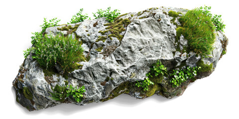 Poster - Top-View Natural Rocks and Moss Texture