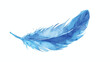 Blue feather. Watercolor painting feather. flat vector
