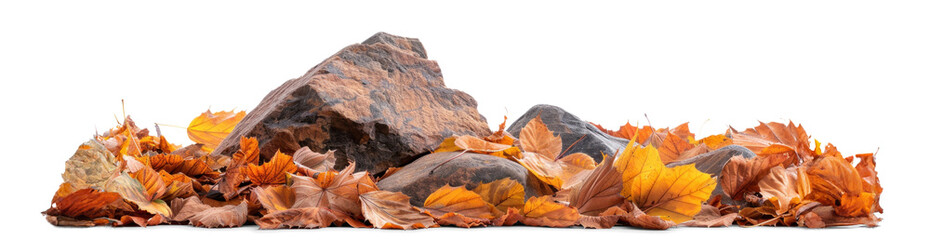 Wall Mural - Rock Stone Surrounded by Leaves, png file of isolated cutout object