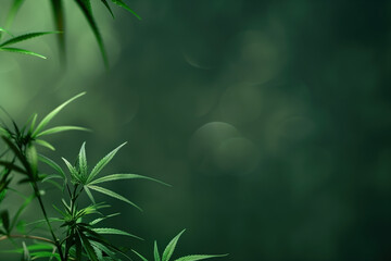 Poster - cannabis leaf slide background. Created with Generative AI technology.