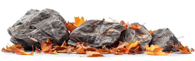 Wall Mural - Rock Stone with Autumn Leaves, png file of isolated cutout object on transparent background