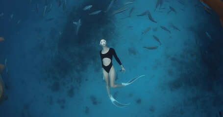 Wall Mural - Woman freediver glides underwater in blue sea with sharks and tropical fishes.