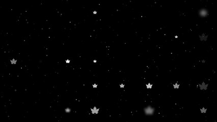 Poster - Template animation of evenly spaced maple leaf symbols of different sizes and opacity. Animation of transparency and size. Seamless looped 4k animation on black background with stars
