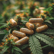 Cannabis golden capsules on cannabis leaves background. Medicinal indica with CBD.