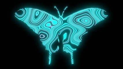 Wall Mural - 4k video animation of beautiful texture or pattern formation on the butterfly body shape, isolated o