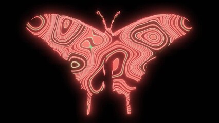 Wall Mural - 4k video animation of beautiful red texture or pattern formation on the butterfly body shape, isolat