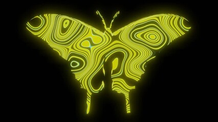 Wall Mural - 4k video animation of beautiful yellow texture or pattern formation on the butterfly body shape, iso